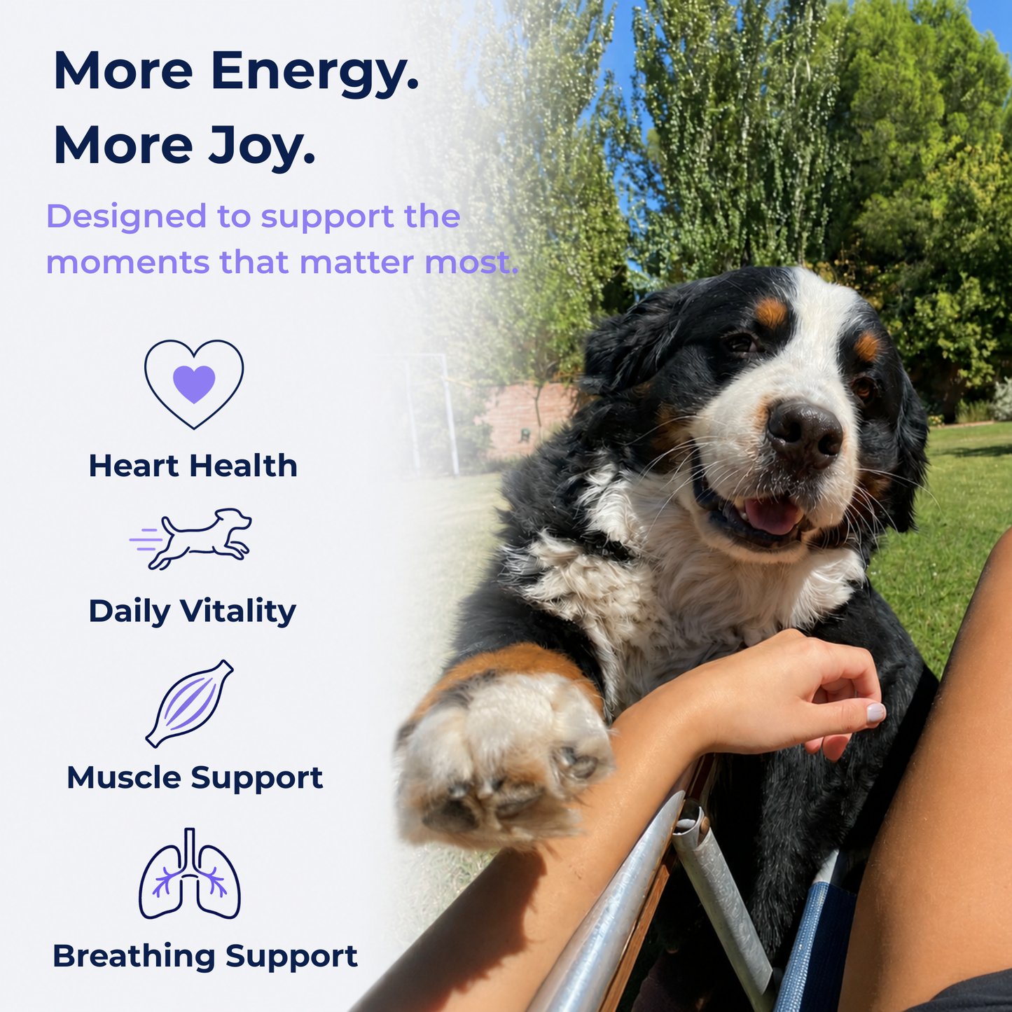Vitality chews™