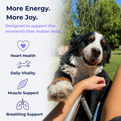 Vitality chews™