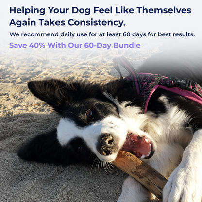 Vitality chews™